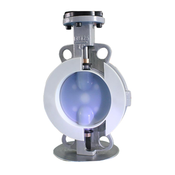 Ptfe Coated Butterfly Valves